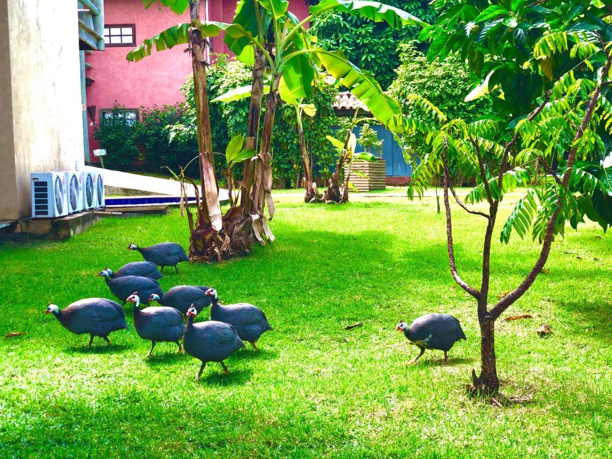 Villas Do Pratagy Apartamento